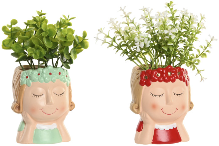 Alternative view of Planta chica